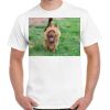 Gildan Adult Cotton Tee  Thumbnail