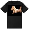 Gildan Unisex Softstyle Tee  Thumbnail