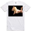 AS Colour Adult Staple Tee  Thumbnail