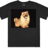 Gildan Adult Comfort Colours Tee Thumbnail