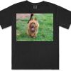 Gildan Adult Comfort Colours Tee Thumbnail