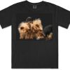 Gildan Adult Comfort Colours Tee Thumbnail
